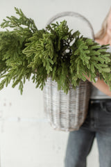 Fresh Touch Baby Norfolk Pine Spray | 34"