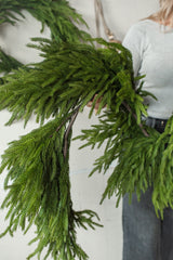 Fresh Touch Norfolk Pine Garland | 77"