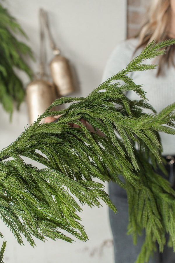 Fresh Touch Norfolk Pine Garland | 71"