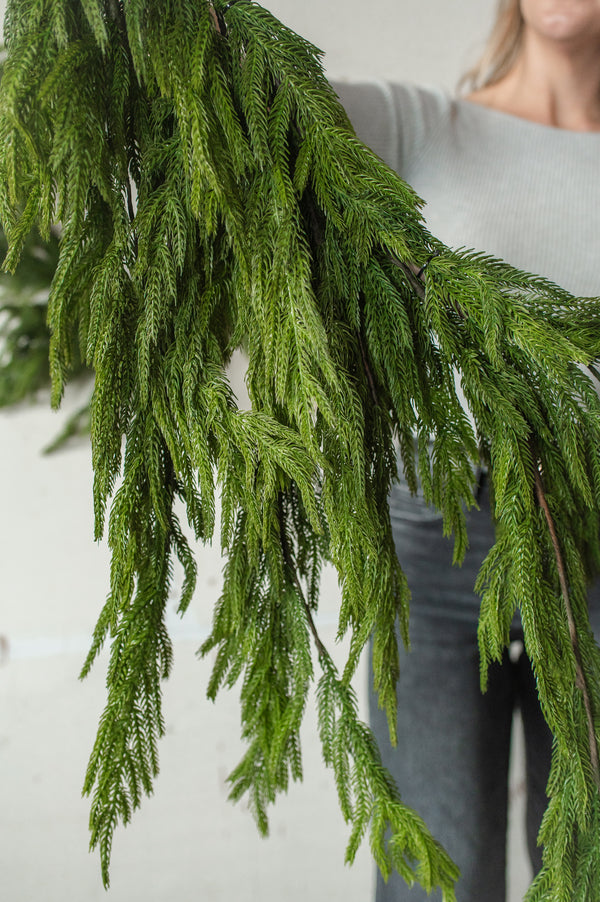 Fresh Touch Norfolk Dripping Pine Garland | 40"