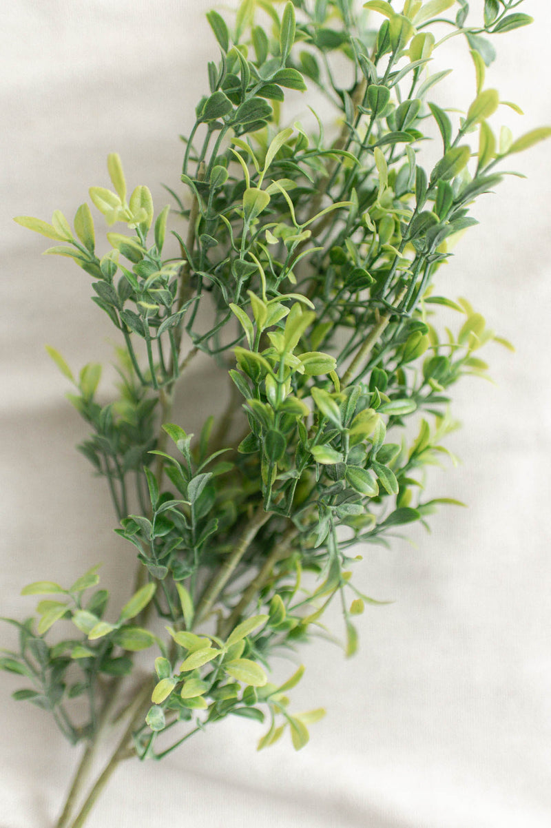 Boxwood Spray | 25.5" - FINAL SALE