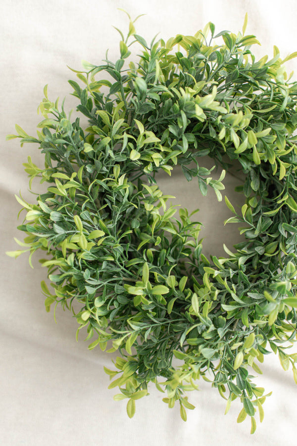 Boxwood Wreath | 12.5"