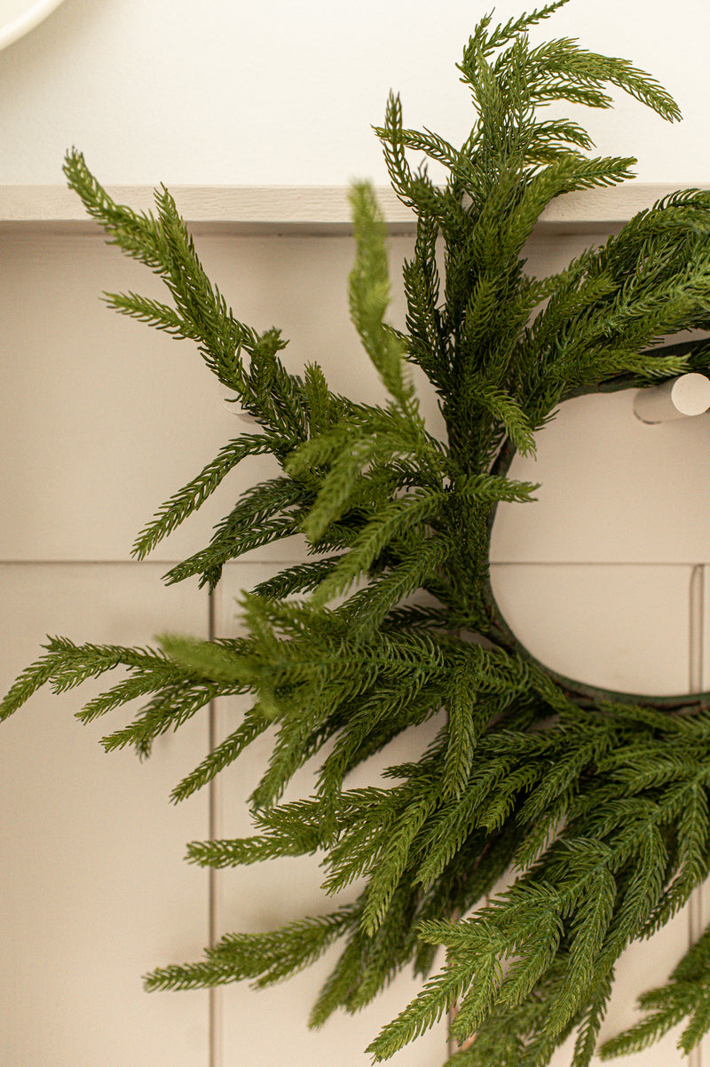 Fresh Touch Norfolk Pine Wreath | 20"