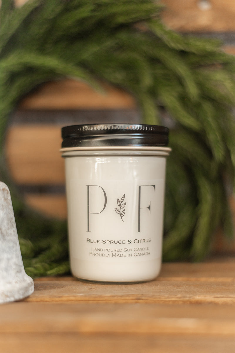 Blue Spruce & Citrus 8oz Soy Candle