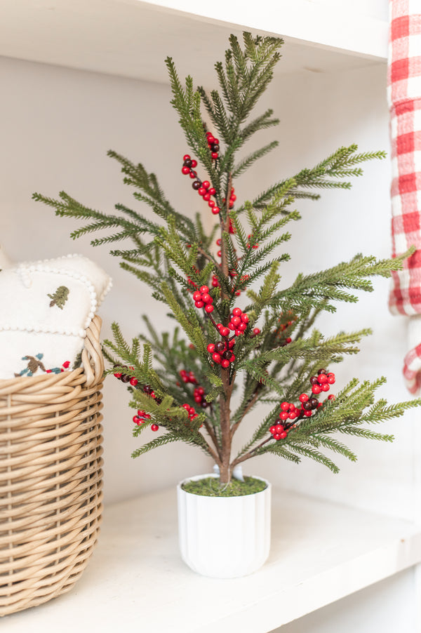 Potted Pine & Berry Tree | 24"