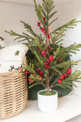 Potted Pine & Berry Tree | 24"