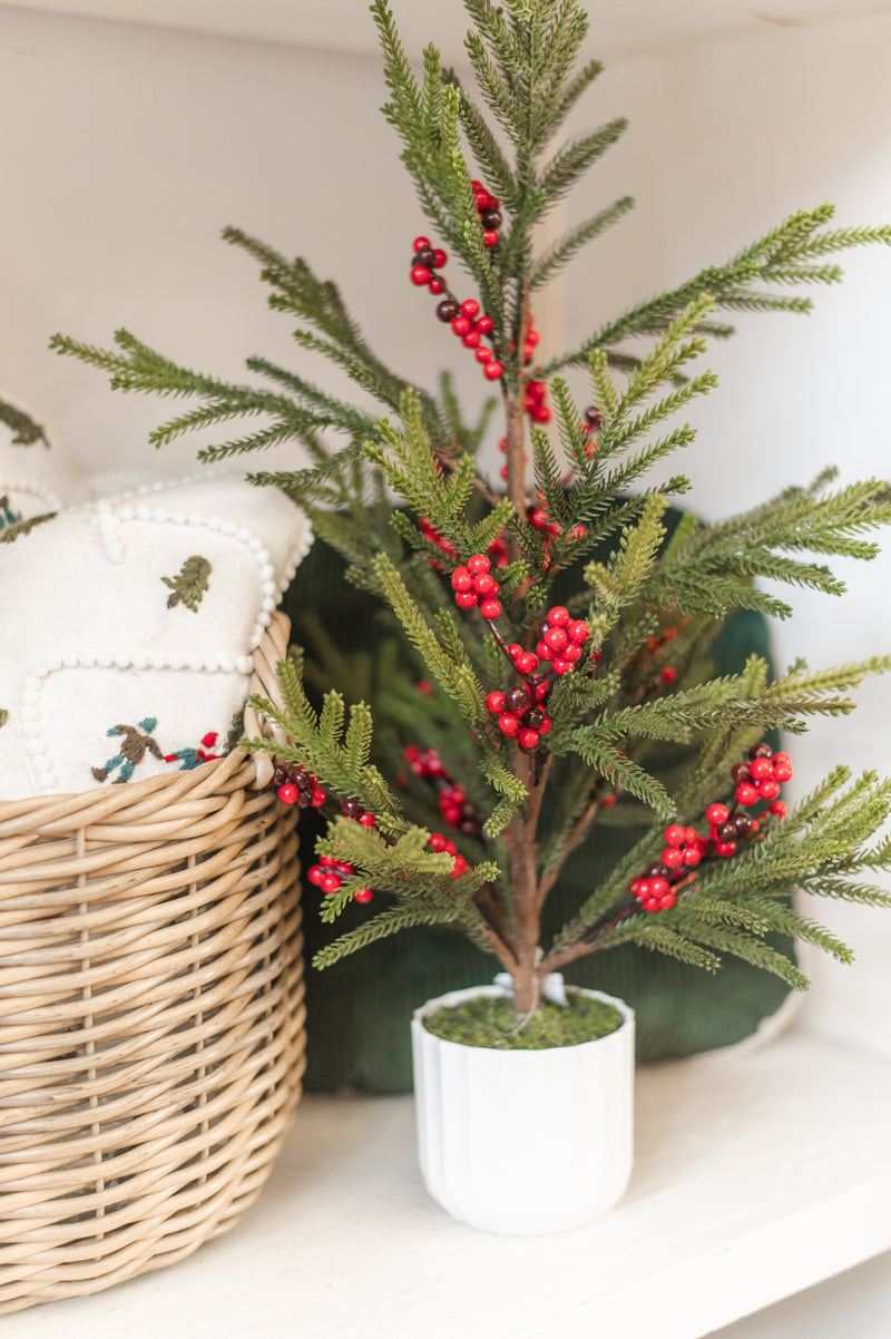 Potted Pine & Berry Tree | 24"