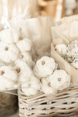 Fibre Pumpkin Bunch | White