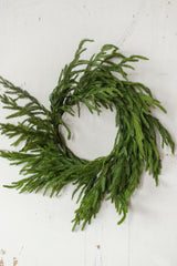 Fresh Touch Norfolk Pine Wreath | 22"