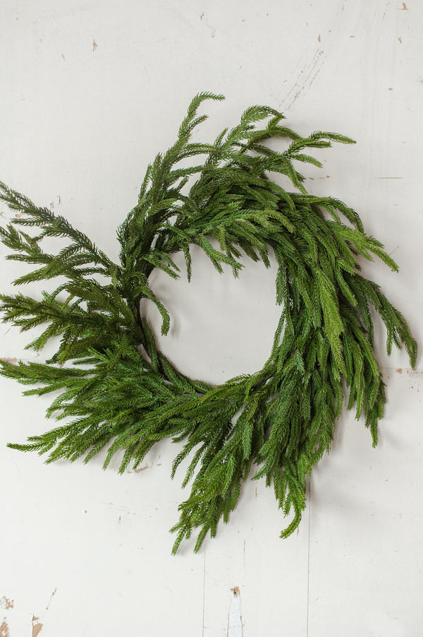 Fresh Touch Norfolk Pine Wreath | 22"