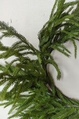 Fresh Touch Norfolk Pine Wreath | 22"