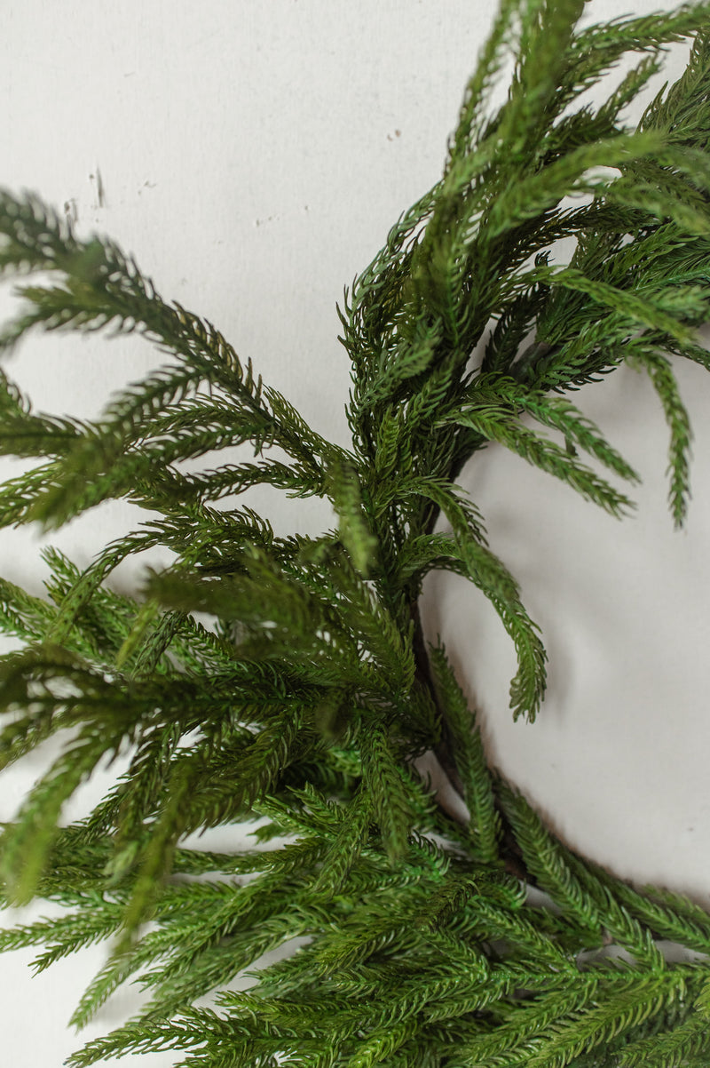 Fresh Touch Norfolk Pine Wreath | 22"