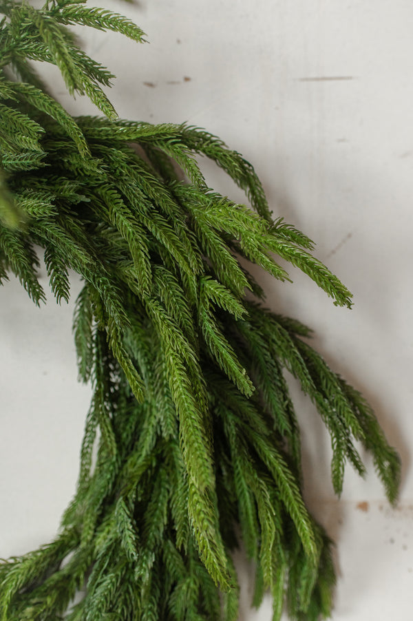 Fresh Touch Norfolk Pine Wreath | 22"