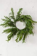 Fresh Touch Norfolk Pine Wreath | 20"