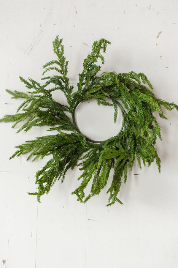 Fresh Touch Norfolk Pine Wreath | 20"