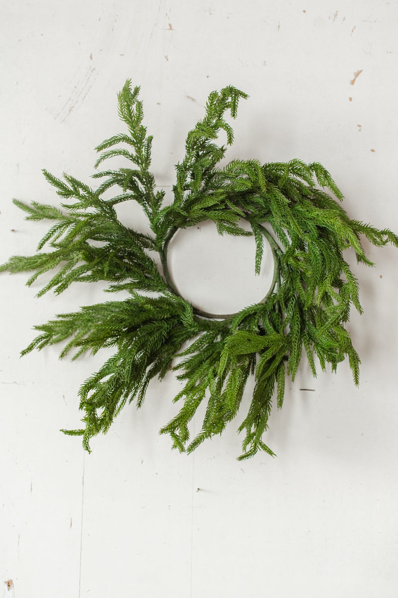 Fresh Touch Norfolk Pine Wreath | 20"
