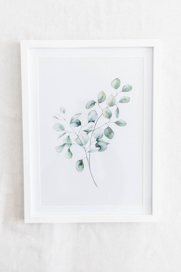 Framed Art | Eucalyptus