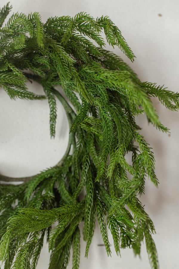 Fresh Touch Norfolk Pine Wreath | 20"