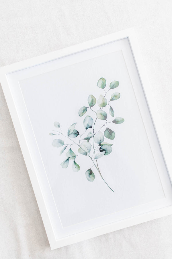 Framed Art | Eucalyptus
