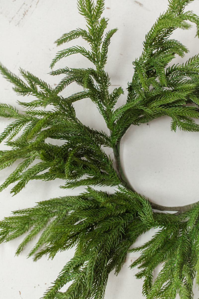 Fresh Touch Norfolk Pine Wreath | 20"