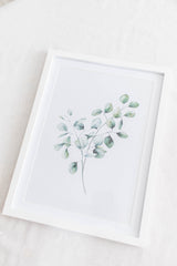 Framed Art | Eucalyptus