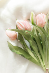 Fresh Touch Tulip Bundle 12" | Pink