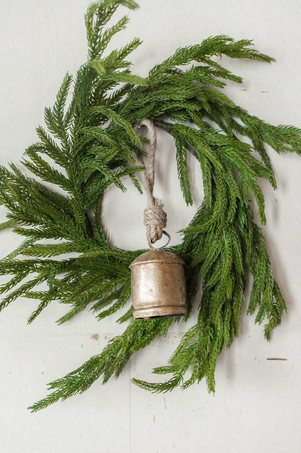 Fresh Touch Norfolk Pine Wreath | 16"