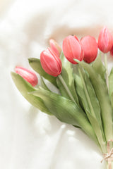 Fresh Touch Tulip Bundle 12" | Rose