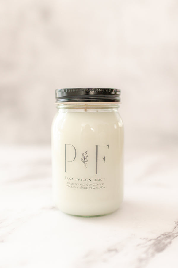 Eucalyptus & Lemon 16oz Soy Candle