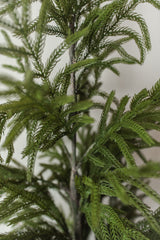 Fresh Touch Potted Norfolk Pine | 40"