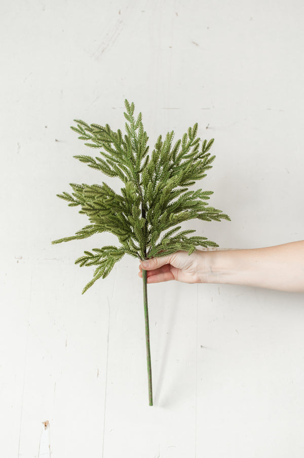 Fresh Touch Baby Norfolk Pine Spray | 23"