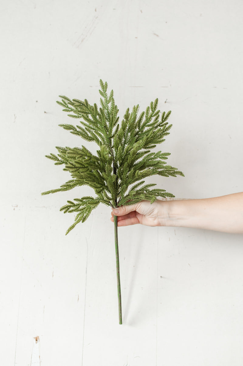 Fresh Touch Baby Norfolk Pine Spray | 23"