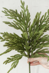 Fresh Touch Baby Norfolk Pine Spray | 23"