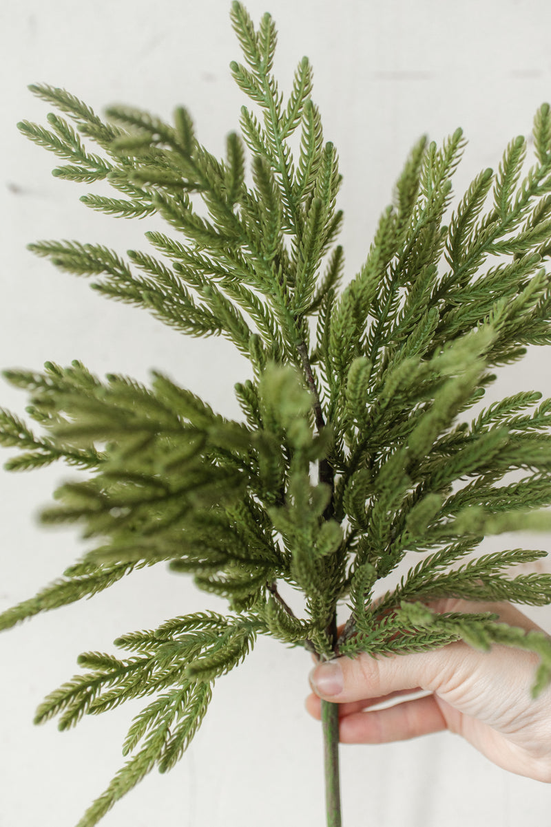 Fresh Touch Baby Norfolk Pine Spray | 23"