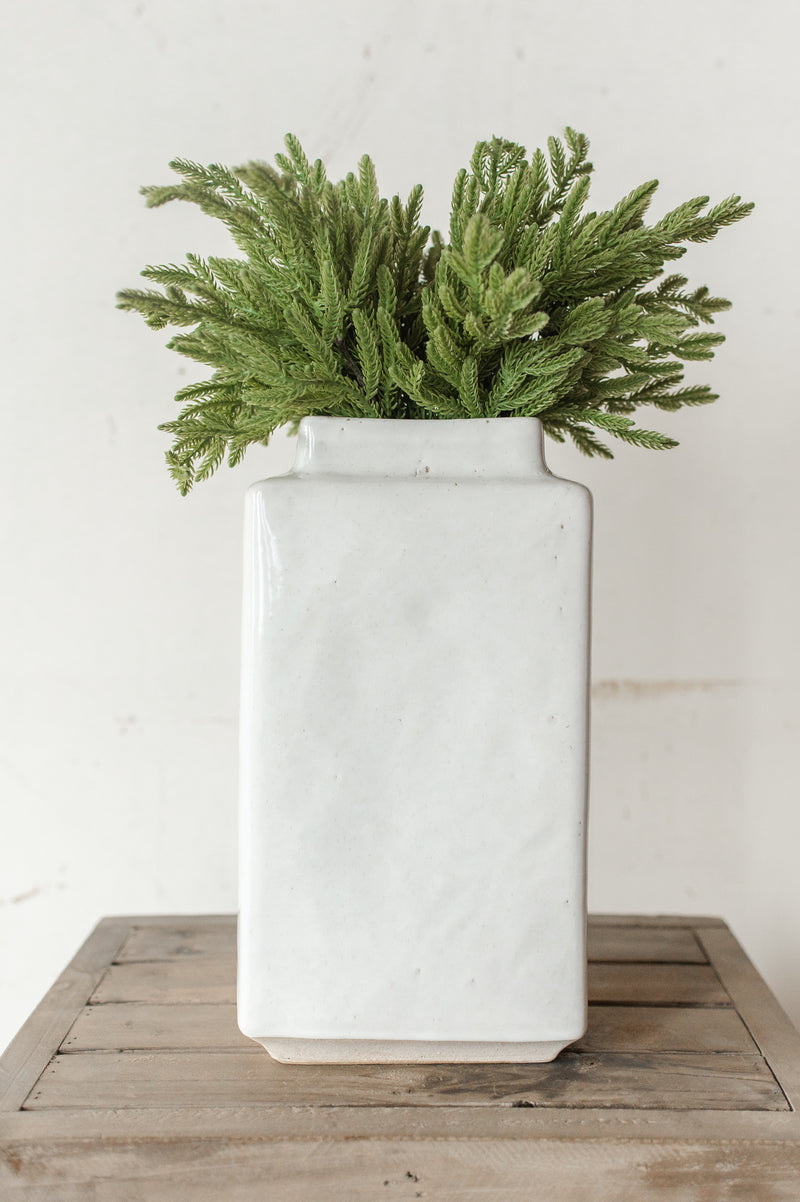 Fresh Touch Baby Norfolk Pine Bundle | 17"