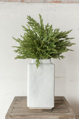Fresh Touch Baby Norfolk Pine Spray | 23"