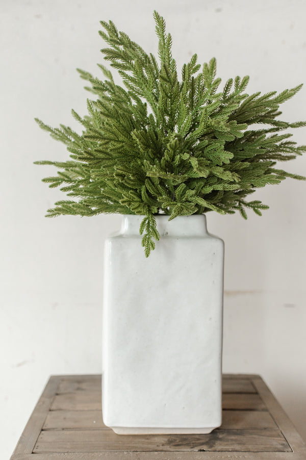 Fresh Touch Baby Norfolk Pine Spray | 23"