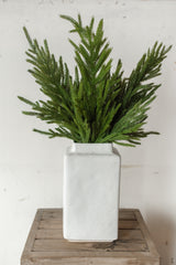 Fresh Touch Norfolk Pine Branch | 29"
