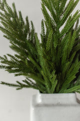 Fresh Touch Norfolk Pine Branch | 29"