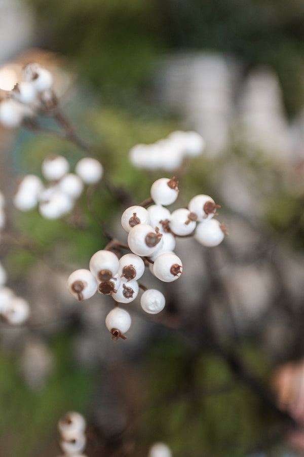 White Berry Spray | 26"