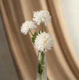 Chrysanthemum Spray | White