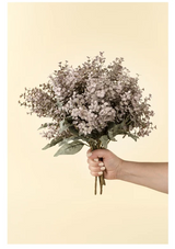 Primrue Eucalyptus Spray | Purple