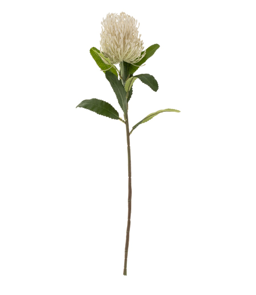 Pincushion Floral Stem | White