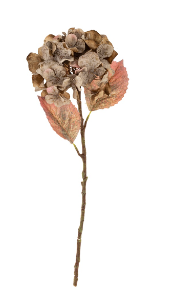 Faded Hydrangea Stem | Grey