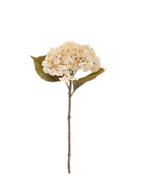 Hydrangea Floral Stem | Cream