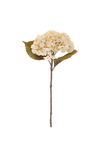 Hydrangea Floral Stem | Cream