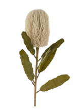 Banksia Floral Stem | Cream