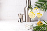 Lemon Gin Spritz Drink Mix