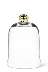 Gold Accent Cloche | Medium