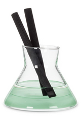 Melon Sorbet Modern Reed Diffuser